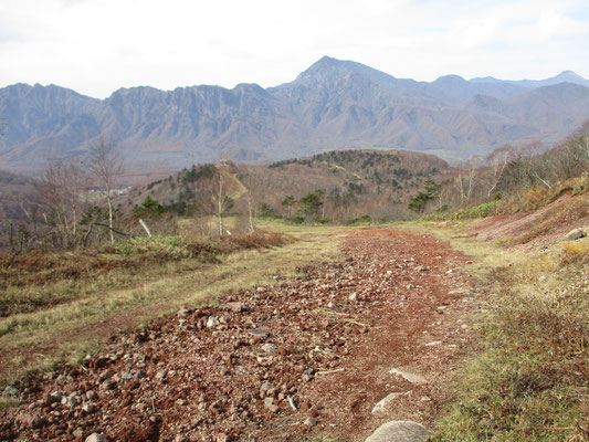 赤土のむき出しになったゲレンデを乗り越え山頂へ