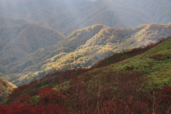 朝、山頂にて3