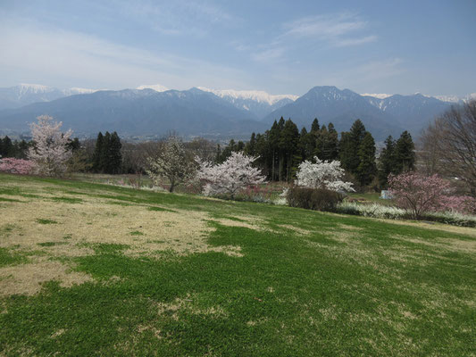 日長のんびりとしつつスケッチ三昧をしたいような公園広場