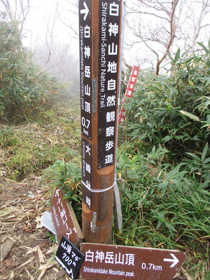 ようやく稜線部の十二湖コースとの分岐までやってくる