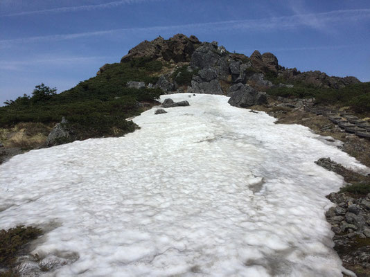 手前には雪田が残っている　この辺りにはショウジョウバカマなど雪解け後の花が咲いていた