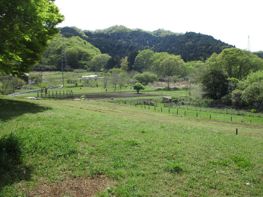 東屋のある目の前は長閑な広がり　休憩にはうってつけの場所