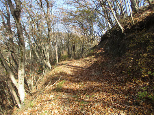 いい雰囲気の山道を行く