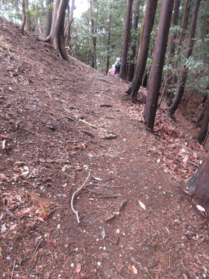 「西山を守る会」で落ち葉掃き清掃をした山道　こうしておくと、ヒルの棲家がなくなるので取り憑かれる確率がグンと減る