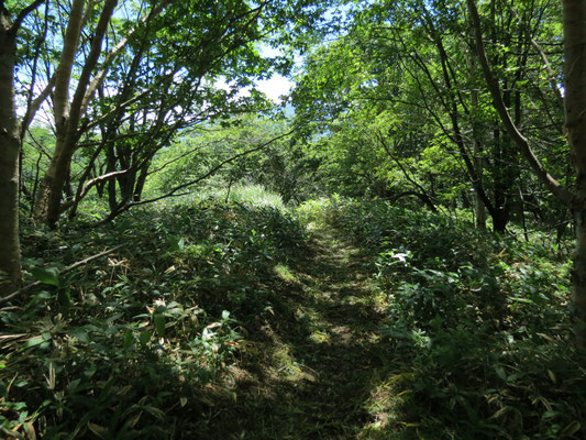 花を楽しみながら木陰に入るとホッとする