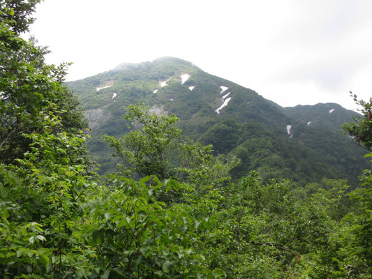 ガスがかっているが薬師岳山頂が見える