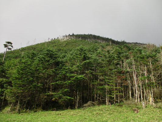 霧が晴れると向かいの縞枯山がきれいに見えた