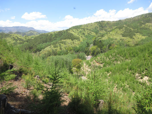 そろそろ下山開始　明るい新緑のなか下っていくと〜