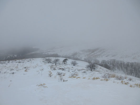 雪の霧ヶ峰1