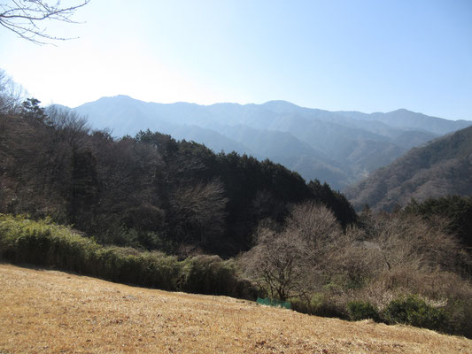 そこから見える丹沢の山稜