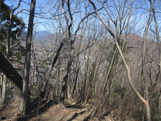 皆野の町を足下に見下ろしながら登る低山だが、落ち葉に埋もれた自然林の山道でとても心地よい 桜も名所だが新緑の頃は最高にきれいだろう