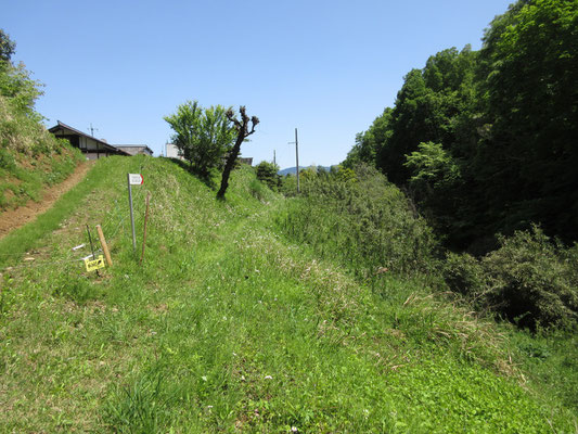 民家の脇に飛び出すと、圧倒的な日射しの世界だ