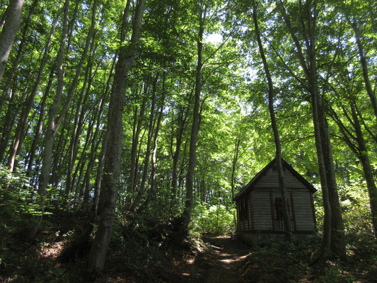 池のそばには避難小屋がある