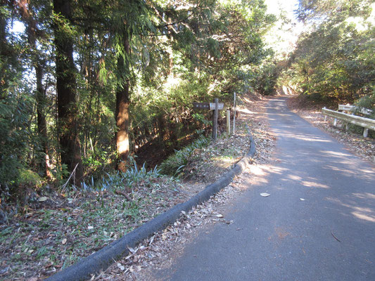 下山は途中から鎌北湖の東側に出る登山道を下る　