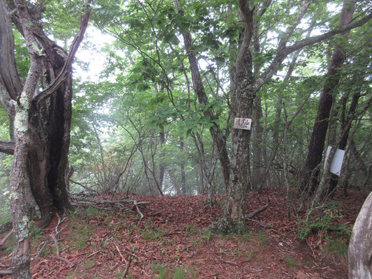 しっとりと静かな山頂　みなで記念撮影もする
