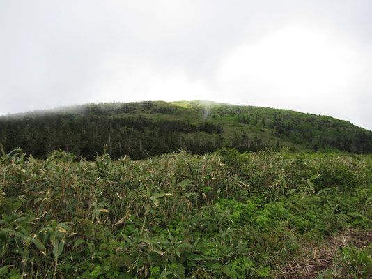 山頂の方