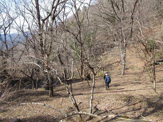 高圧鉄塔の巡視路も散見される下山　かつての集落の面影を感じる場所に出てくる