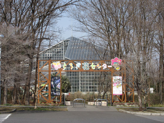 傍らには「とちぎ花センター」があり、これは国内でも最大級の温室　約1200種の植物が栽培されているらしい　又の機会、改めて訪ねてみたいと思った