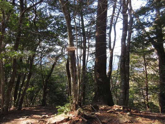 まもなく鳳来寺山山頂到着（684ｍ）　しかし視界もなく、当日は何組かの人たちが昼休憩で陣取っていた