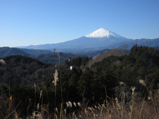 スケッチ終了後、もうひと登りして「つつじ山」へ　ここからの富士山は裾野を駿河湾に流し込む姿でとても美しい　私は地元贔屓で、やはり山梨からのシンメトリーの富士よりこうした姿を好む