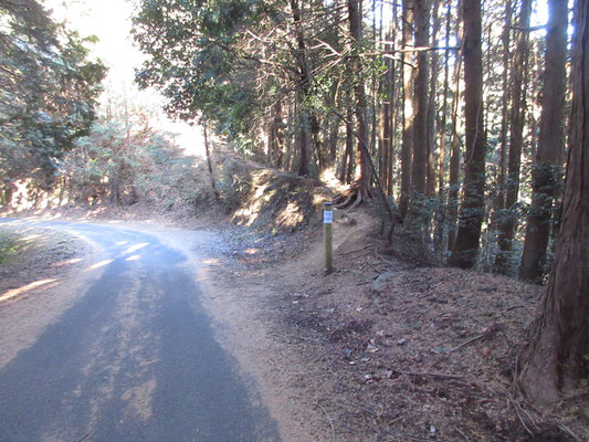 稜線際にずっと立派な林道が走っていて、そこを歩いていくと「スカリ山」入り口の標識があった
