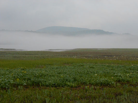 大江湿原と尾瀬沼