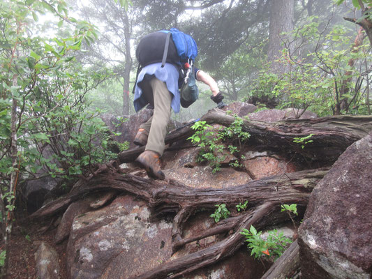 こんな場所をひと登りすると・・・