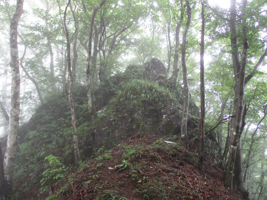 休憩後、出発してまもなく出会った「ウバガ岩」　巻道を外してしまいわざわざ岩の上を乗り越える　なかなか存在感のある大岩だった