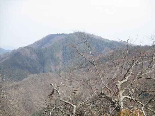 懐かしの二十六夜山