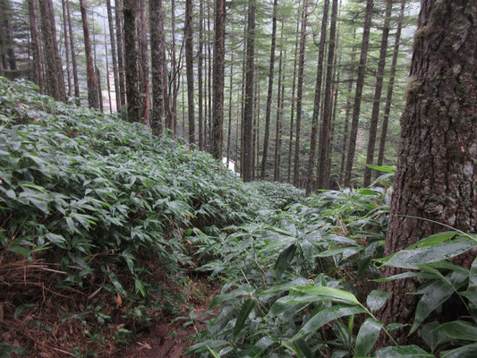 テント二泊の荷物で重くなった“相棒”のザック　長く感じた双子山からヒュッテまでの下り　ようやく小屋の屋根が見えた