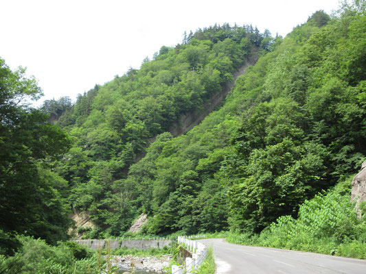 樹木に覆われているが、よく見れば完全に山自体が斜めっている　この周辺はブナ帯に属する渓谷林で、春の新緑、秋の紅葉が美しく「二十一世紀に残したい日本の自然百選」「長野県自然百選」に選定されている（説明板より）