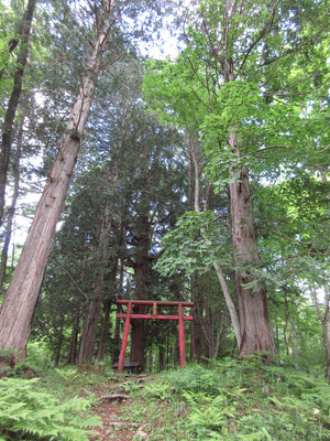 神社まで行き、そこから引き返す　再訪したい