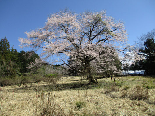 と、突然目の前がパーーーッと開け、こんな情景が目の前に！