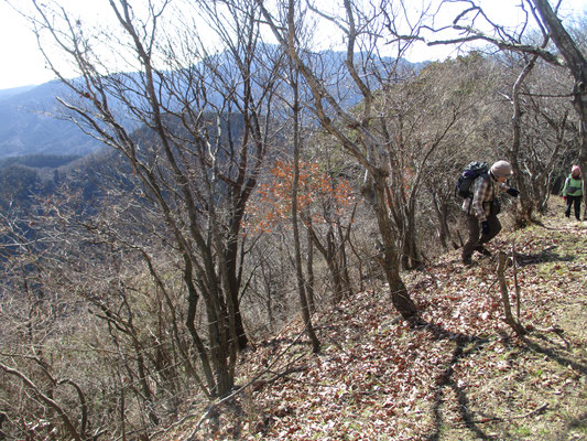 荻野高取山付近から