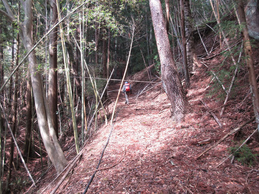 それなりの山道が続くが人の往来は久しくない雰囲気