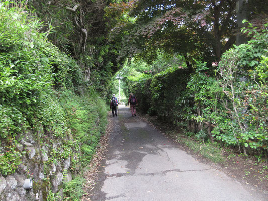 そんなこんなで集落の通りに出て、打ち上げの沓掛館山に向かう