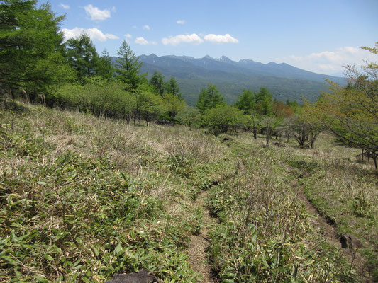 八ヶ岳も全体が見えてくる