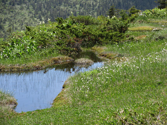 池塘の点在も見え始める