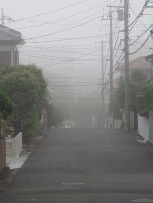 霧の朝　いつもならずっと向こうまでクリアーに見通せる