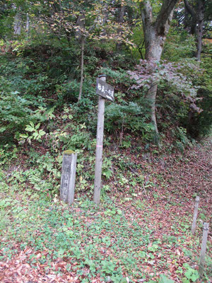 胎蔵山　登山口　細い林道を進み、ここまでやっと辿り着きました