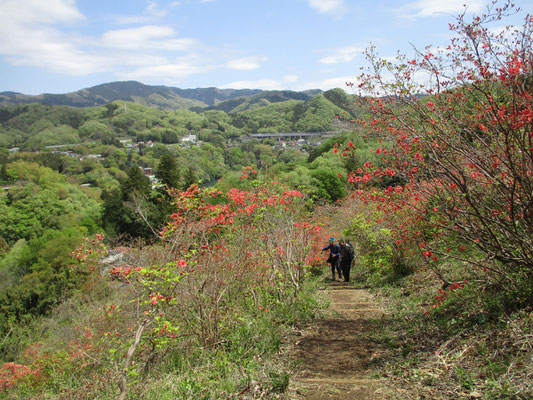 登っていくと、中央沿線の山並みが見えてくる