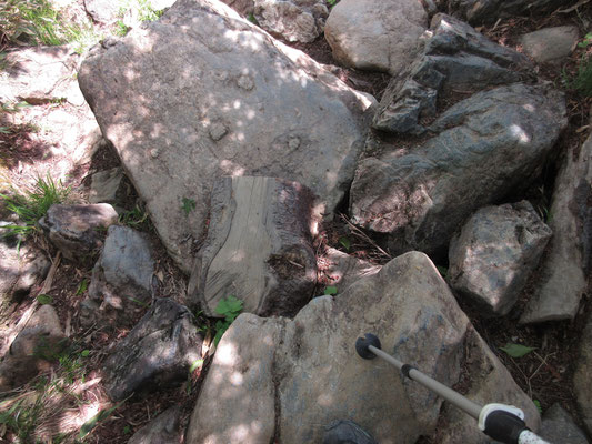 工夫された登山道5