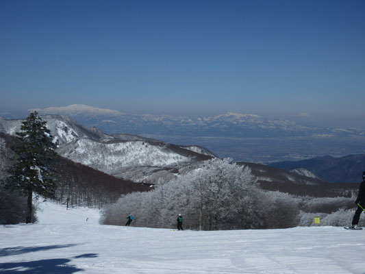 広々としたゲレンデ　その向こうには月山など白嶺の展望