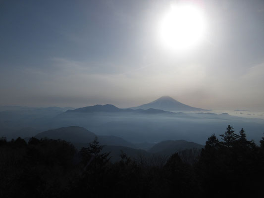 太陽が薄い雲のなかなのだろうか　何となく神々しい感じ
