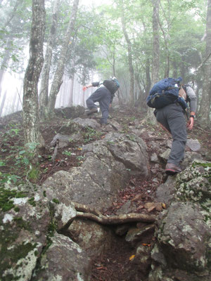 もっと急登になる