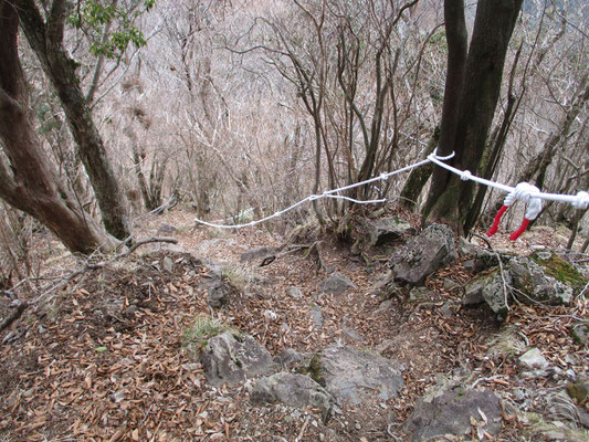 ロープが張られた岩稜　下りでも膝が痛いので後ろ向きにスルスル降りていきます