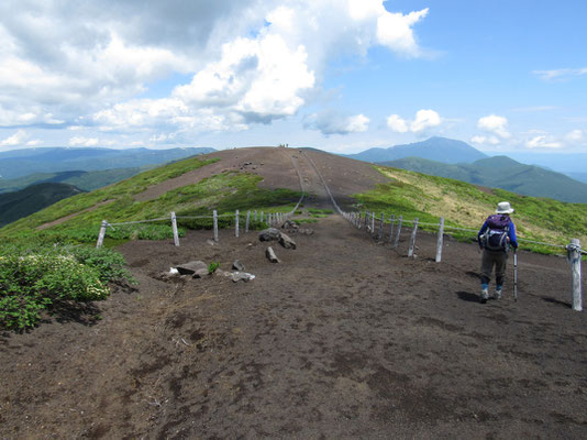 下山路である焼岳に向かう　ここ一帯はザレた山で殆どの植物を寄せ付けない　が、こうした過酷な状況下でコマクサは美しく花を咲かせる　が、まだ花期には早い