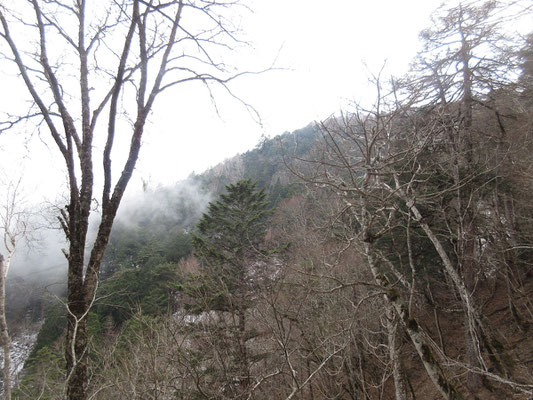 それならこのまま登っていこうと進んでいくと、すでに七面山もガスの中に入りつつある