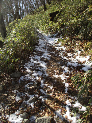 峠近くの登山道は日があたっても気温が低く凍ったまま溶けません　滑るので要注意