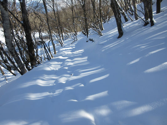 北側になると、雪の量もグッと増し、モッコリとした様子　